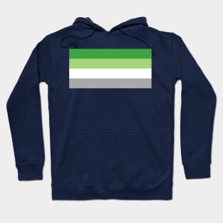 Aromantic flag Hoodie